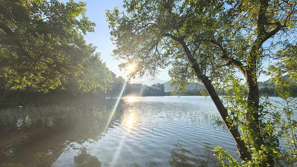 1761547611668939.jpg 微信图片_20251027101330_623_167(压缩)